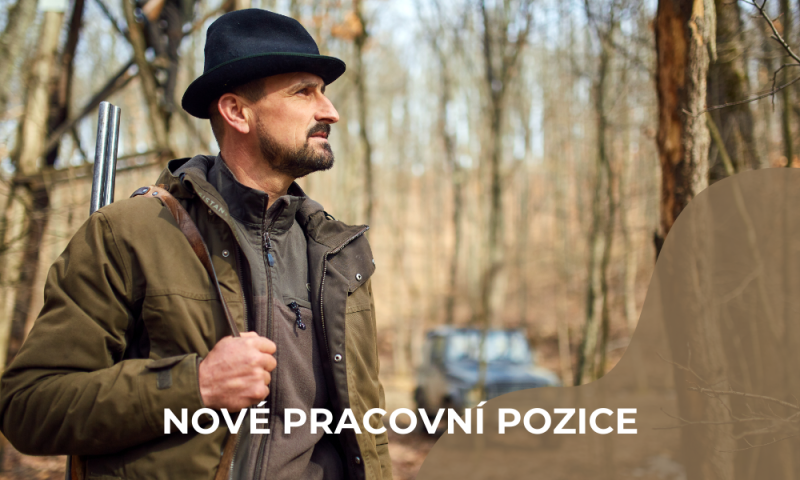 Nové pracovní pozice