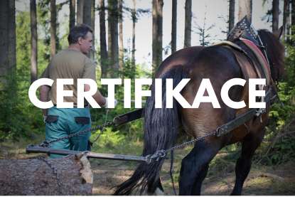 certifikace