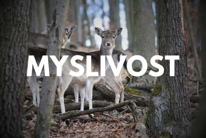Myslivost
