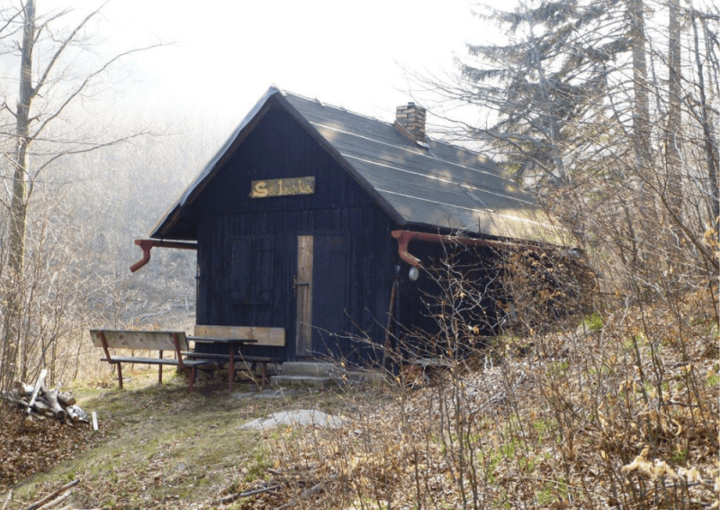 DLOUHODOBÝ PRONÁJEM CHAT