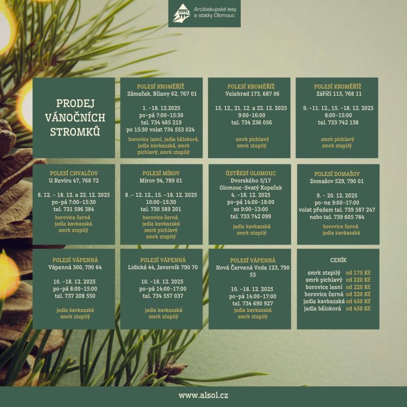 Prodej vánočních stromků z Arcibiskupských lesů 2025