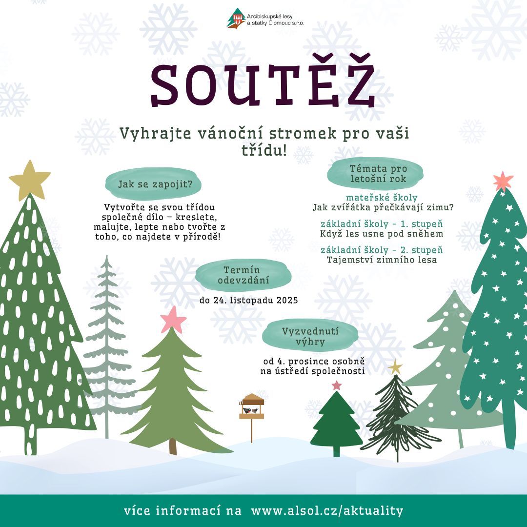 Vyhrajte vánoční stromek pro vaši třídu!
