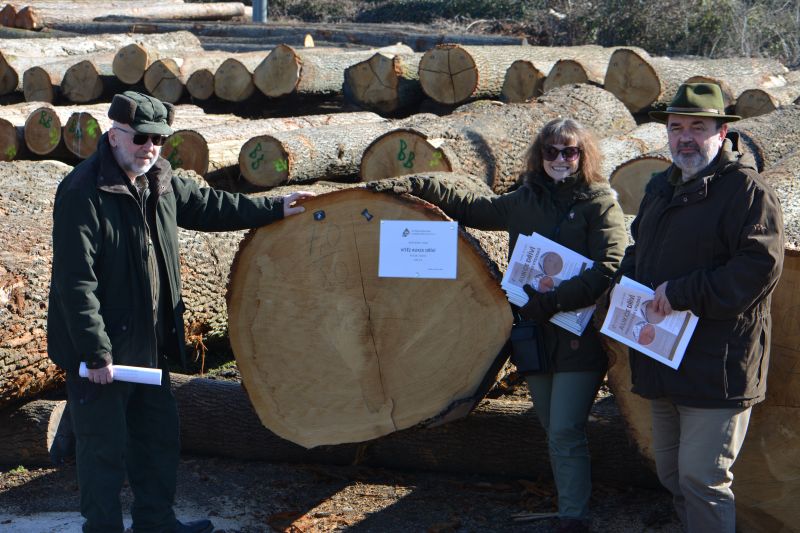IX. Aukce cenných sortimentů dříví